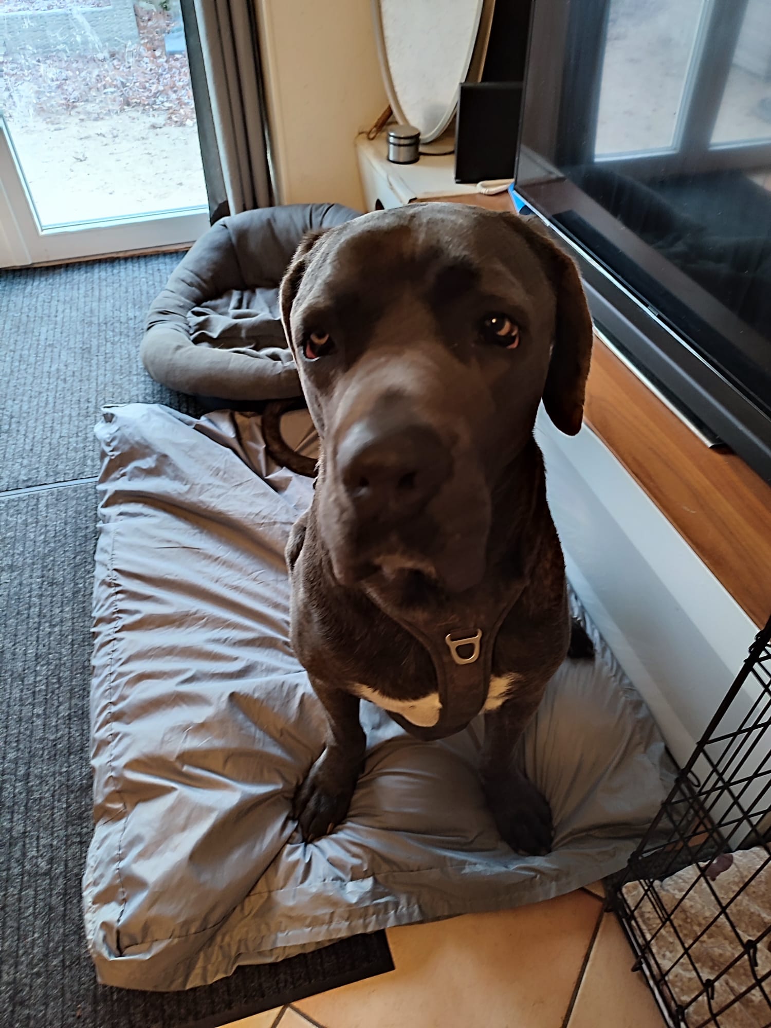 WhatsApp Image 2026-vz02-20 at 09.43.34.jpeg